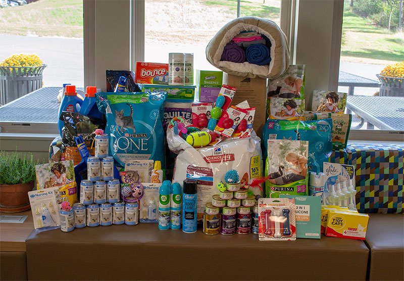 Best4mailing Employee Donations for the ARL Free Adoption Day