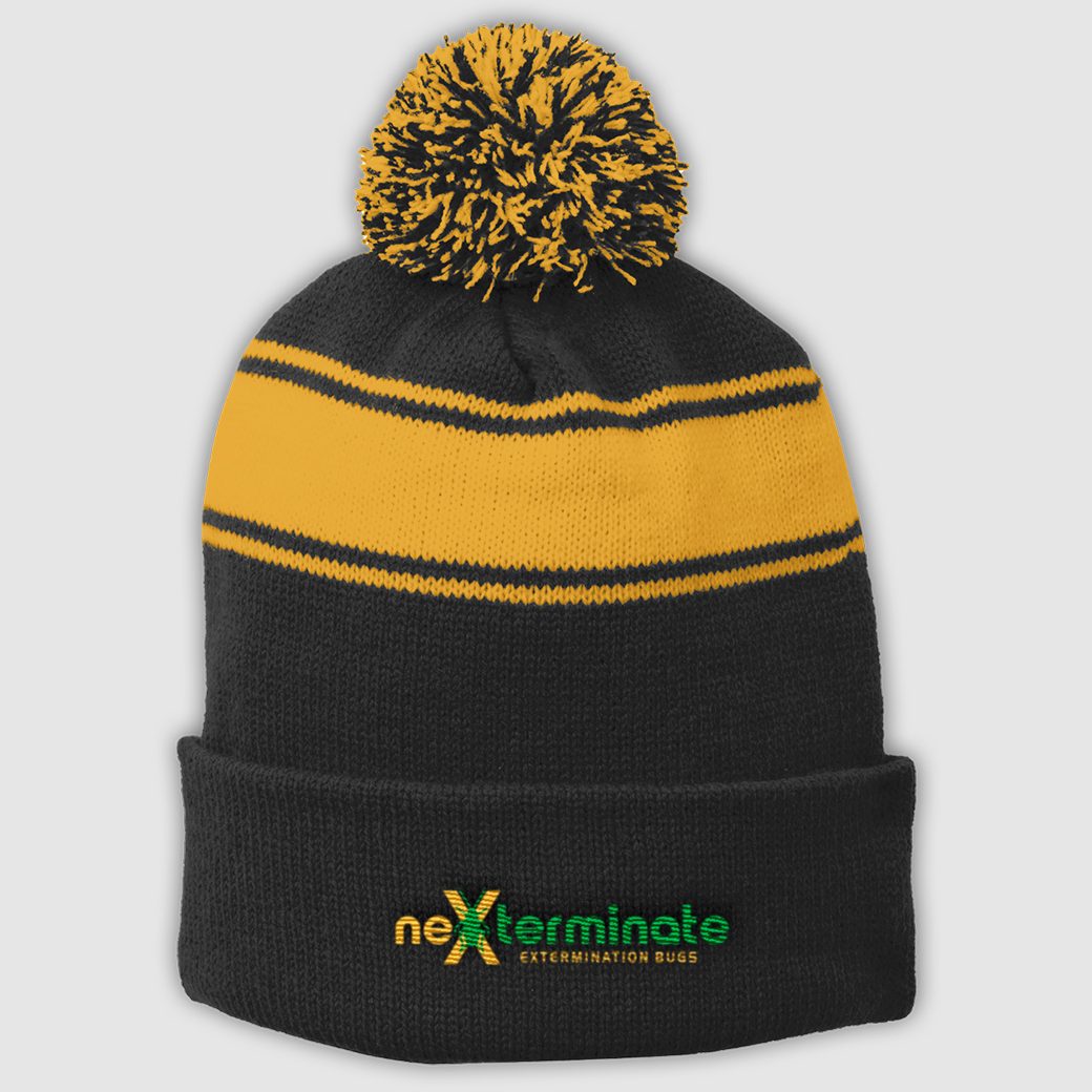 Embroidered beanie example